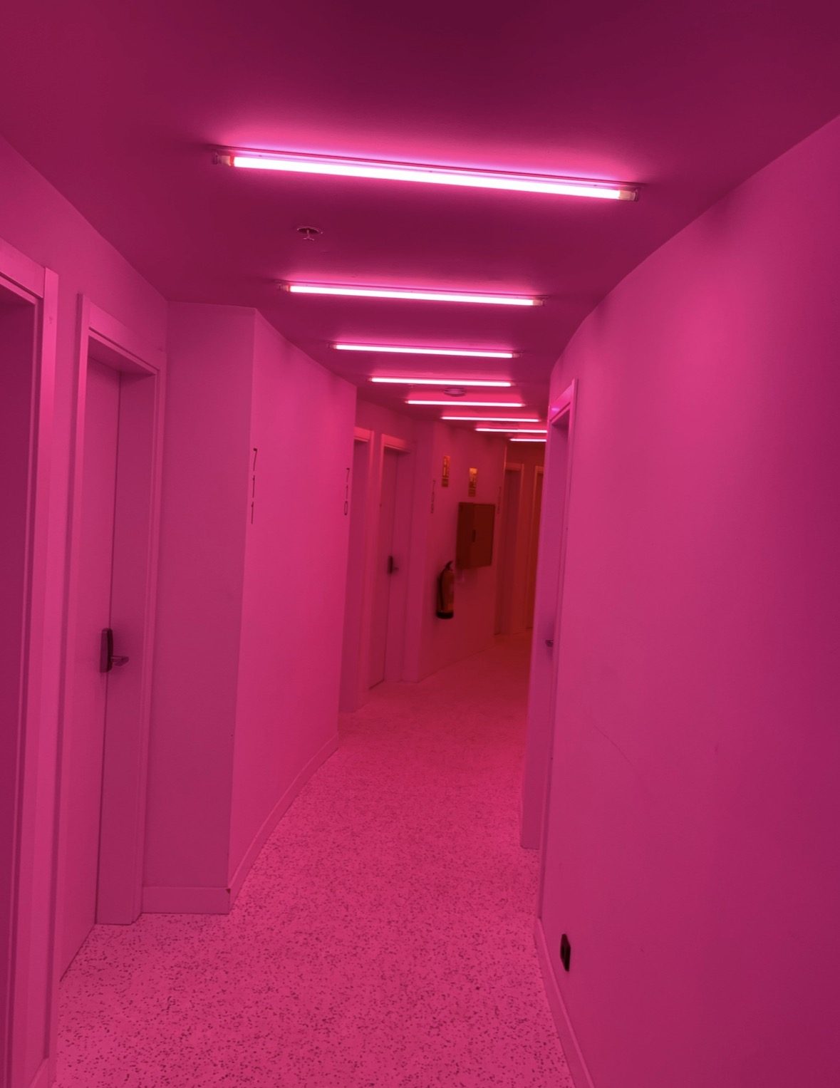 Hoteles y Residencias - Obra 4