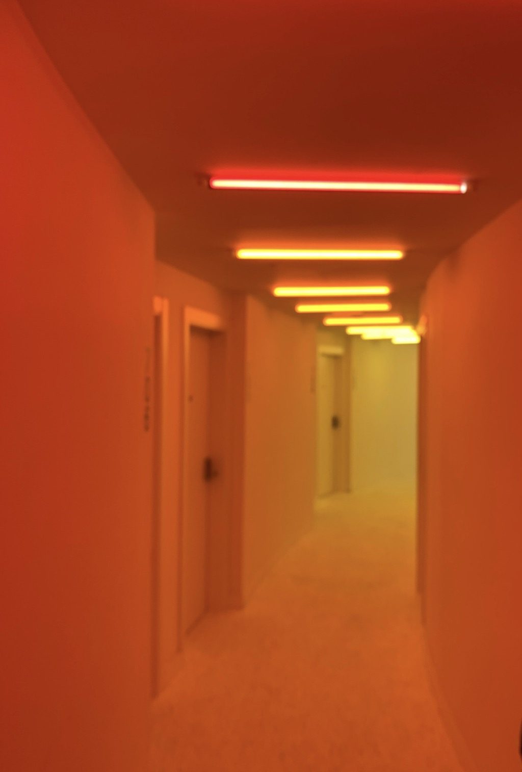 Hoteles y Residencias - Obra 5